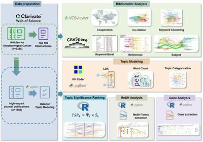 Oropharyngeal cancer and human papillomavirus: a visualization based on bibliometric analysis and topic modeling